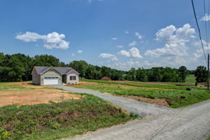 Front Yard