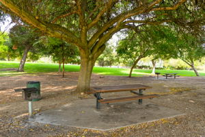  Photo 34