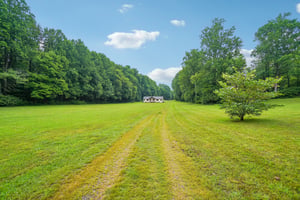 Fork Creek Rd-S1407-002.jpg