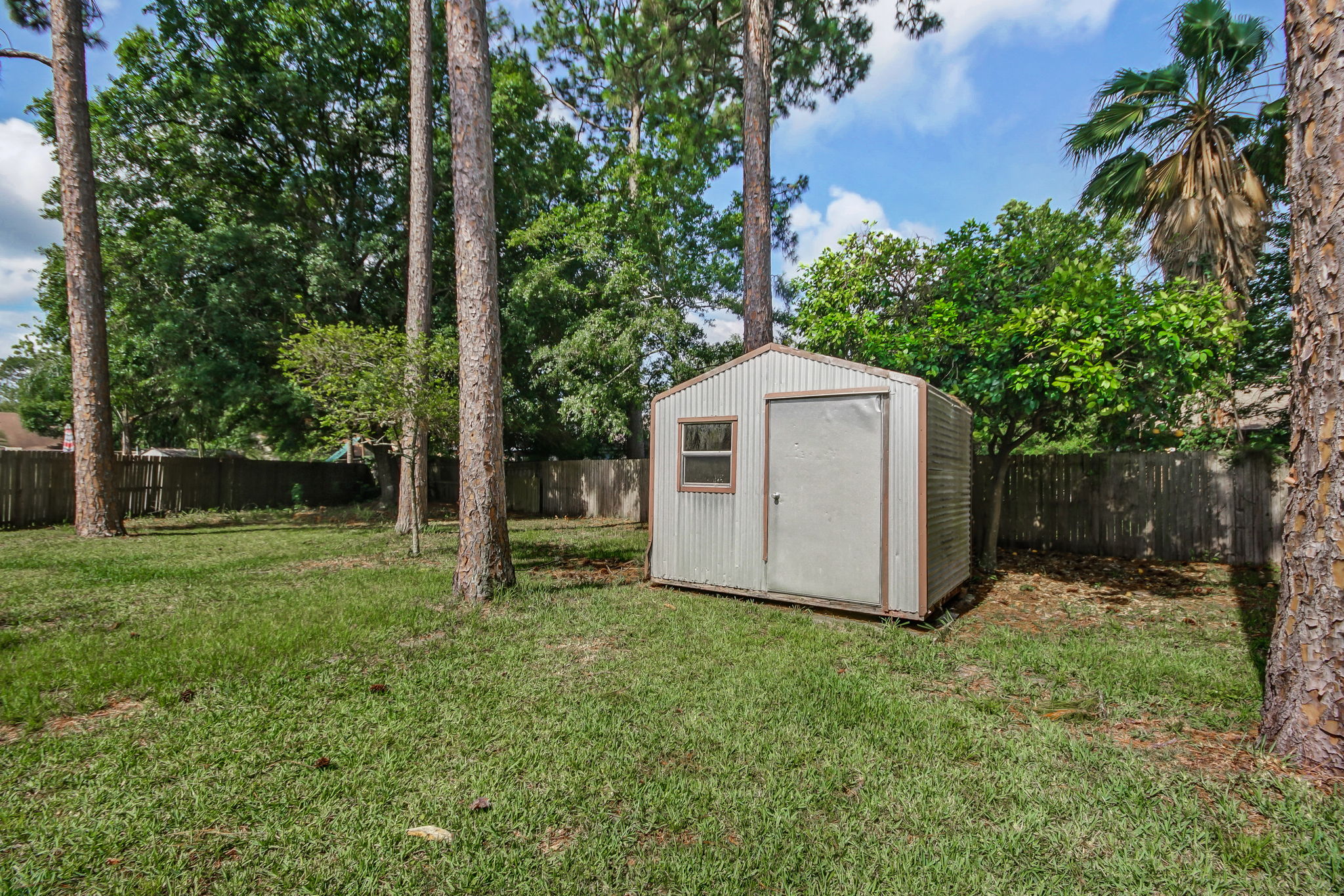 Backyard