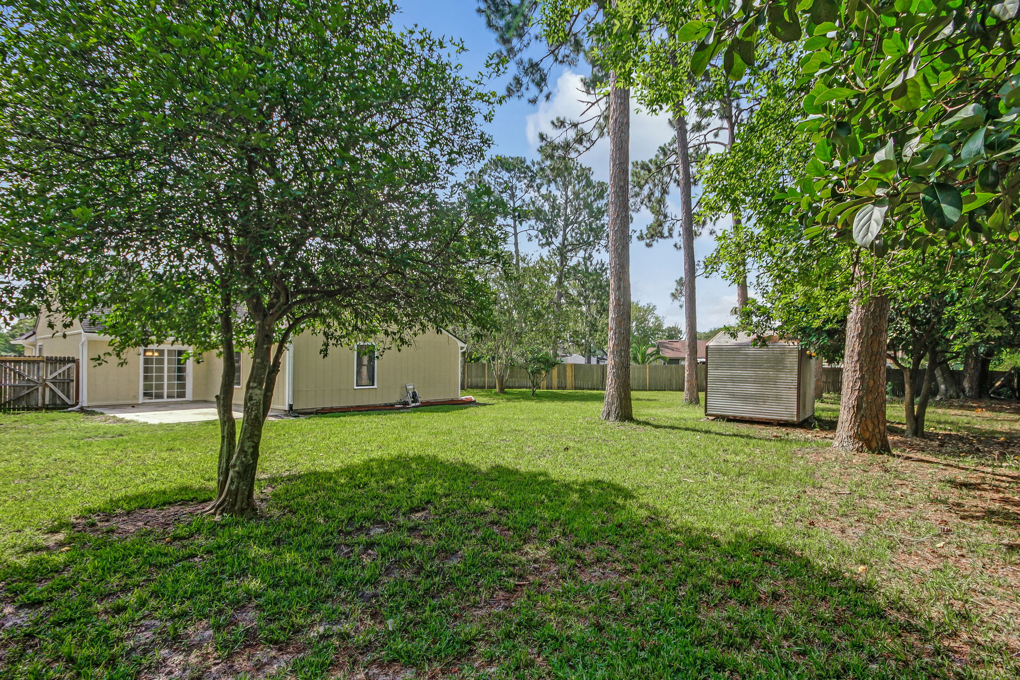 Backyard