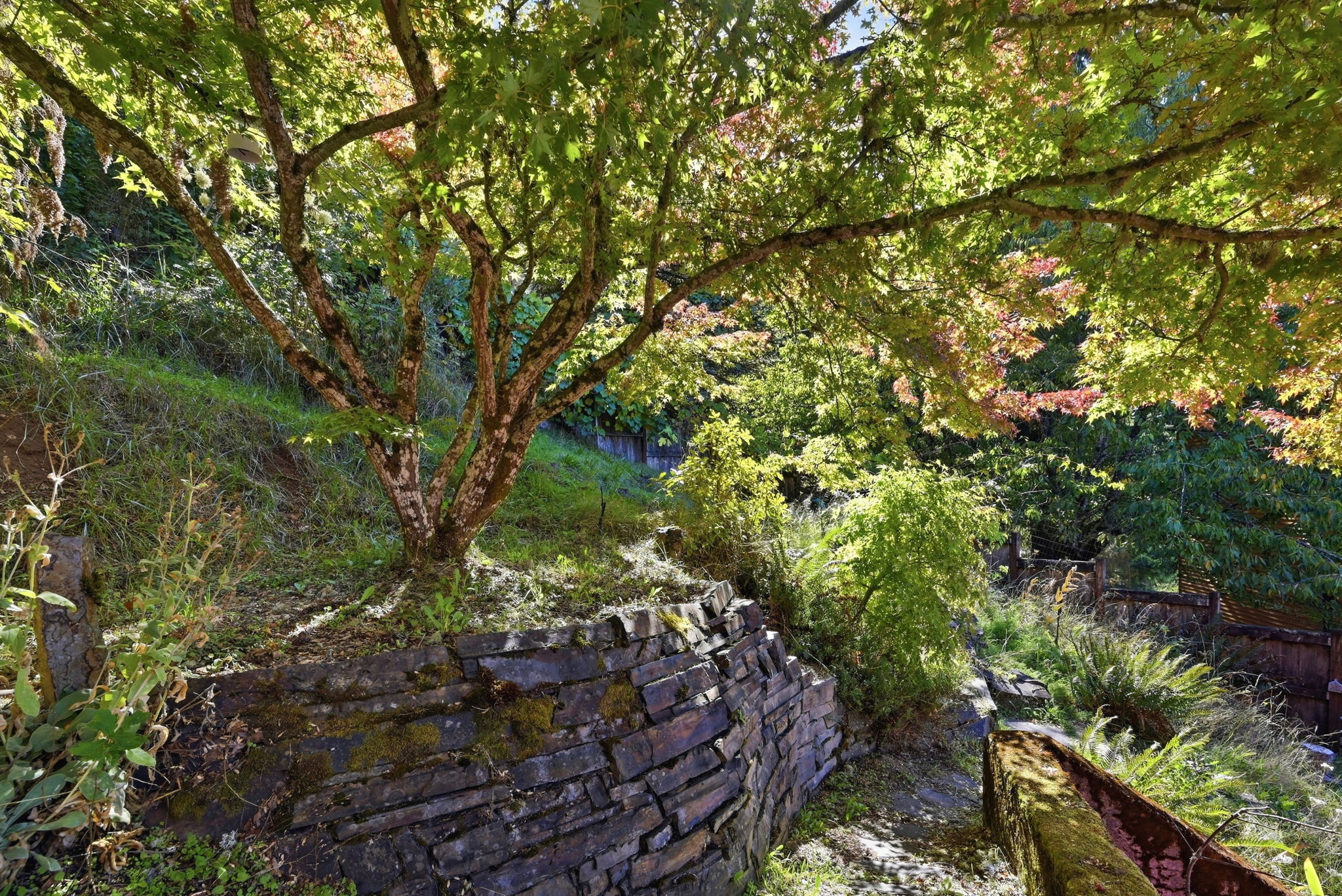  Photo 44