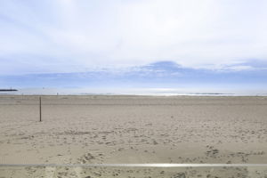  Photo 52