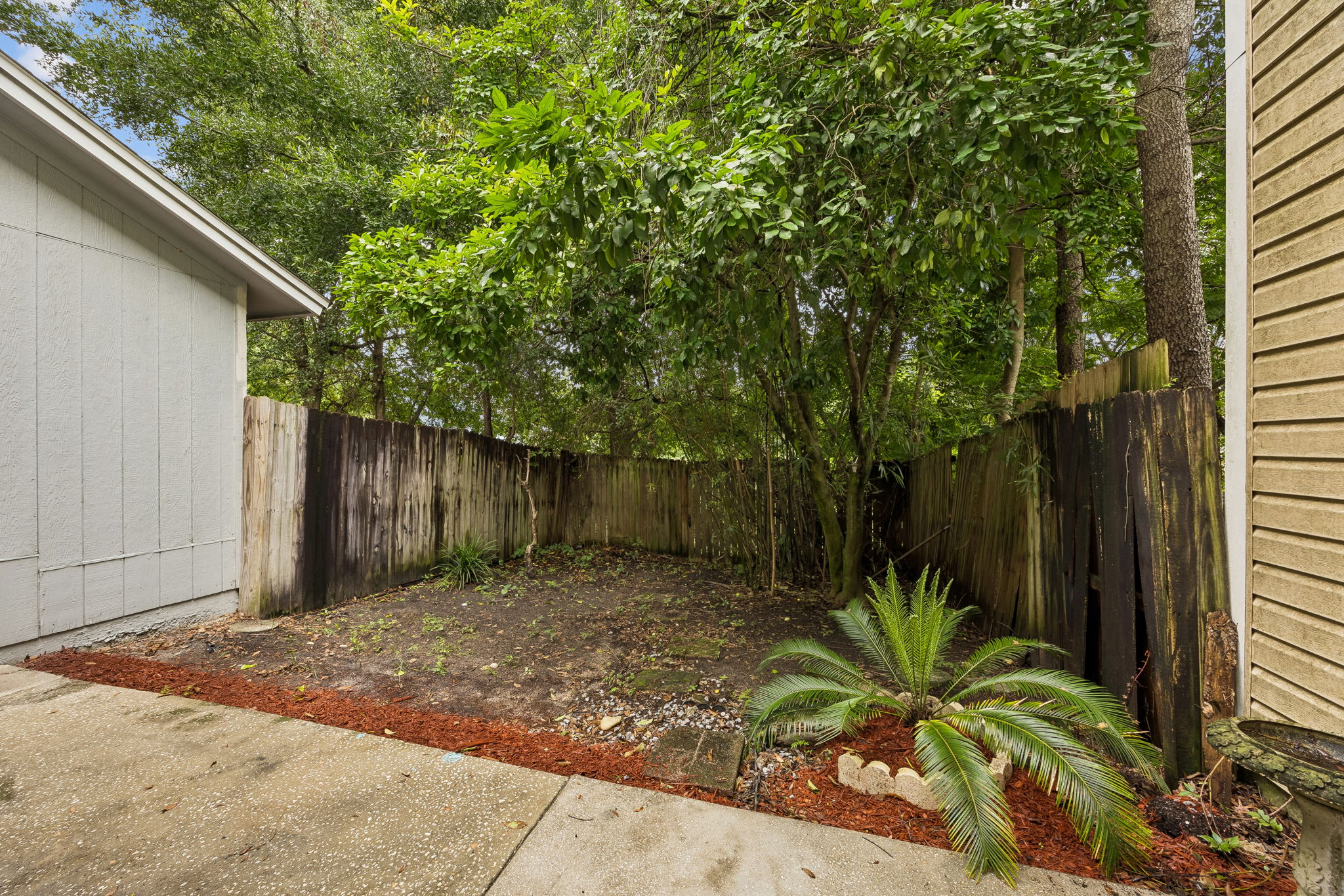 Back Yard