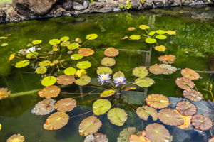  Photo 44