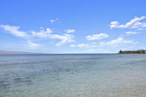  Photo 49