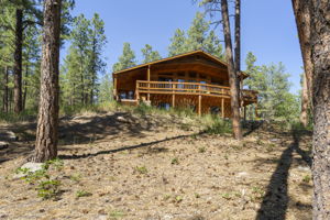  Photo 41
