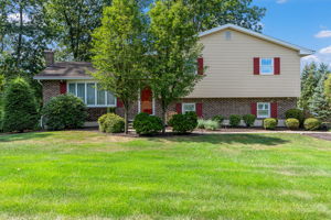 photo-1