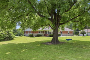  Photo 49