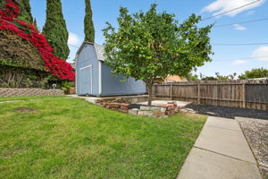  Photo 44