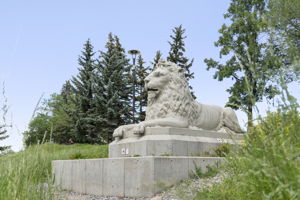  Photo 51