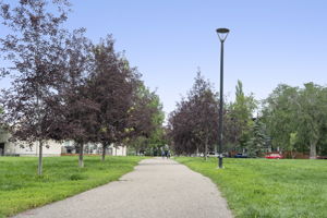  Photo 57