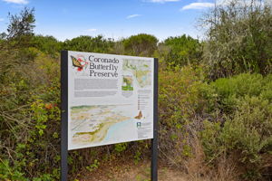 34 - Coronado Butterfly Reserve