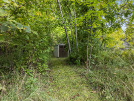  Photo 67
