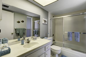 355 Palm Dr # 732, Naples - guest bath with bathtub