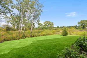 Back View of Wetlands