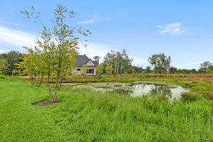 Side View of Wetlands and Home