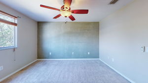  Photo 50