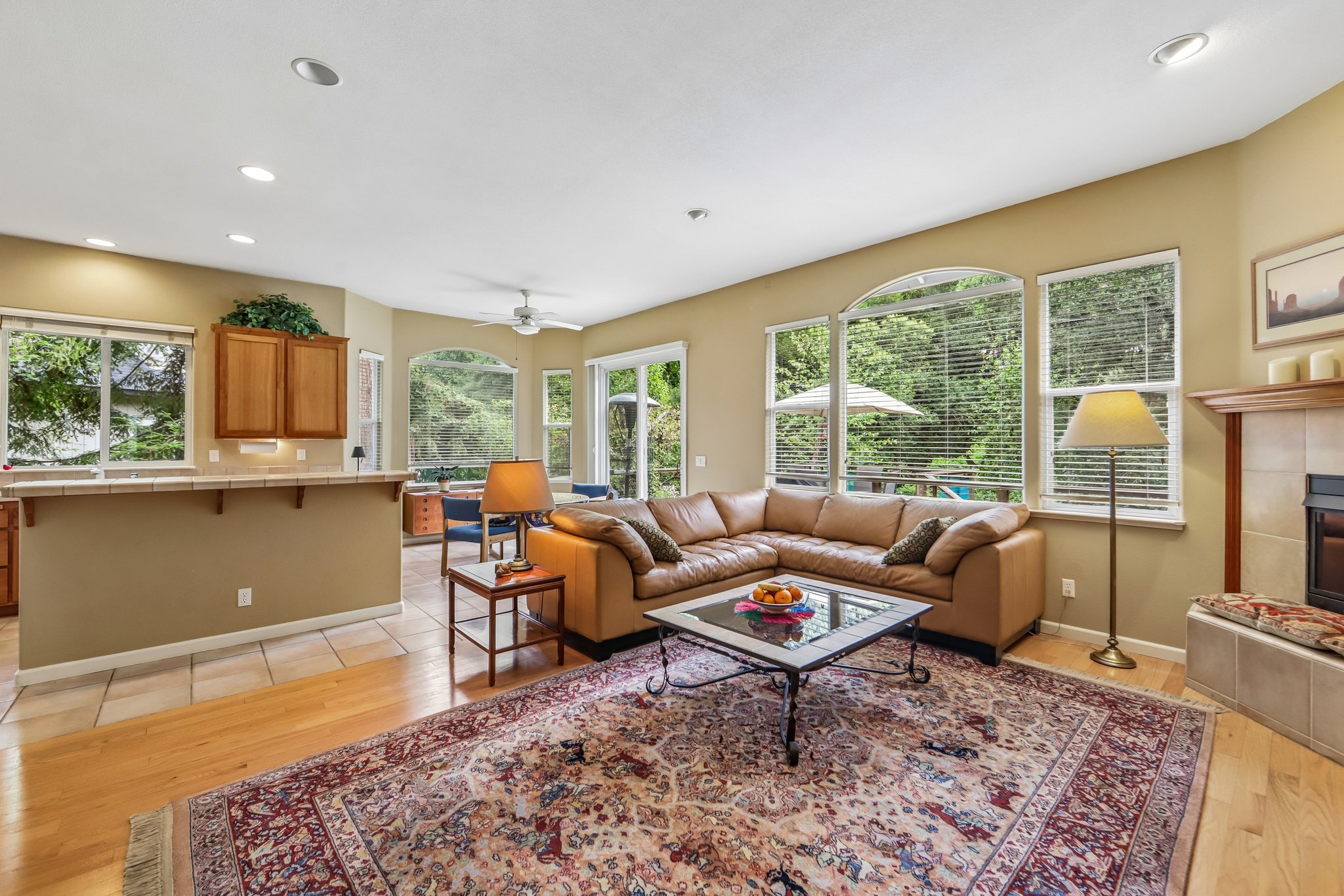 Aikin Pl-S2204-016.jpg