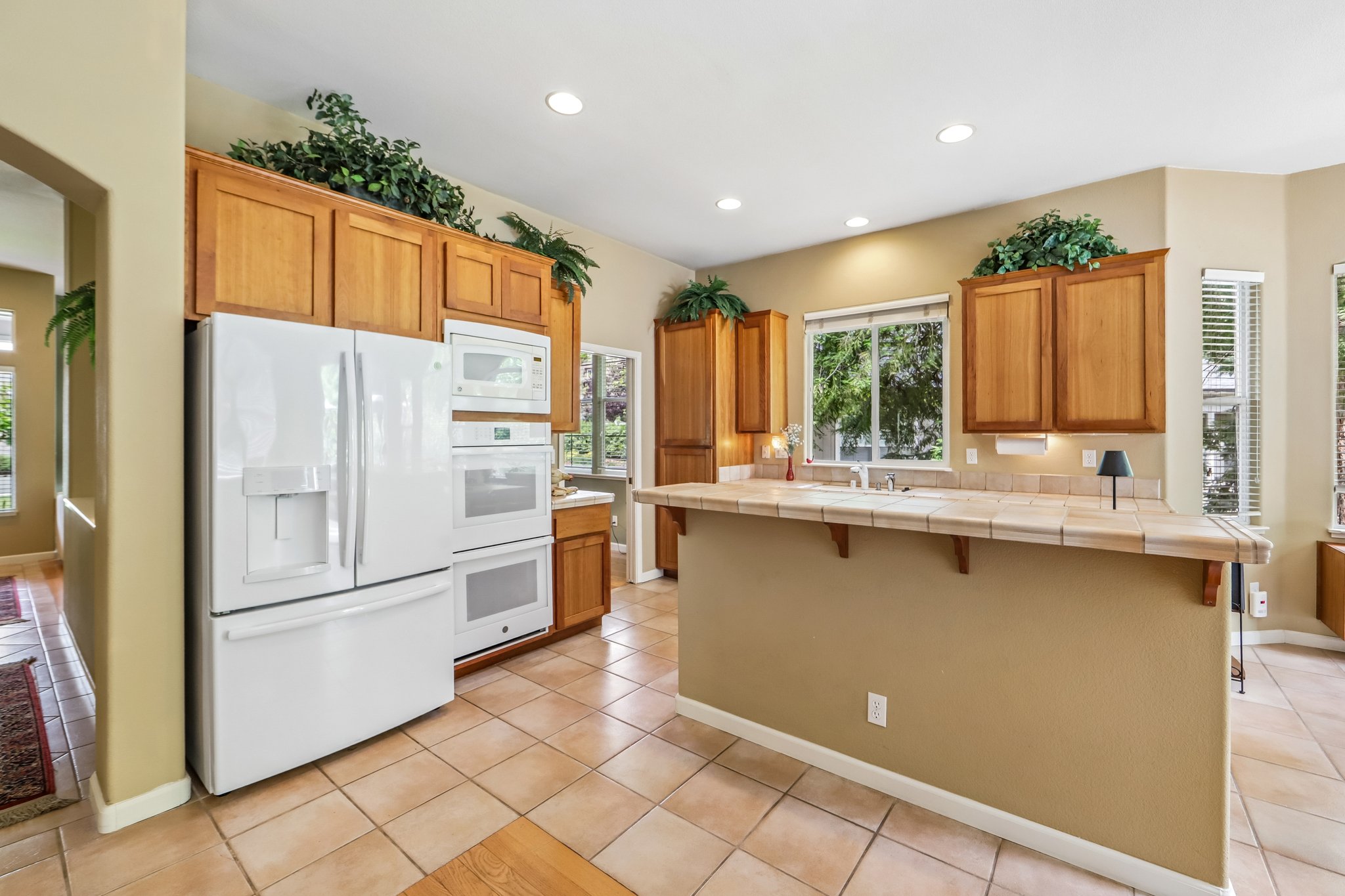 Aikin Pl-S2204-020.jpg