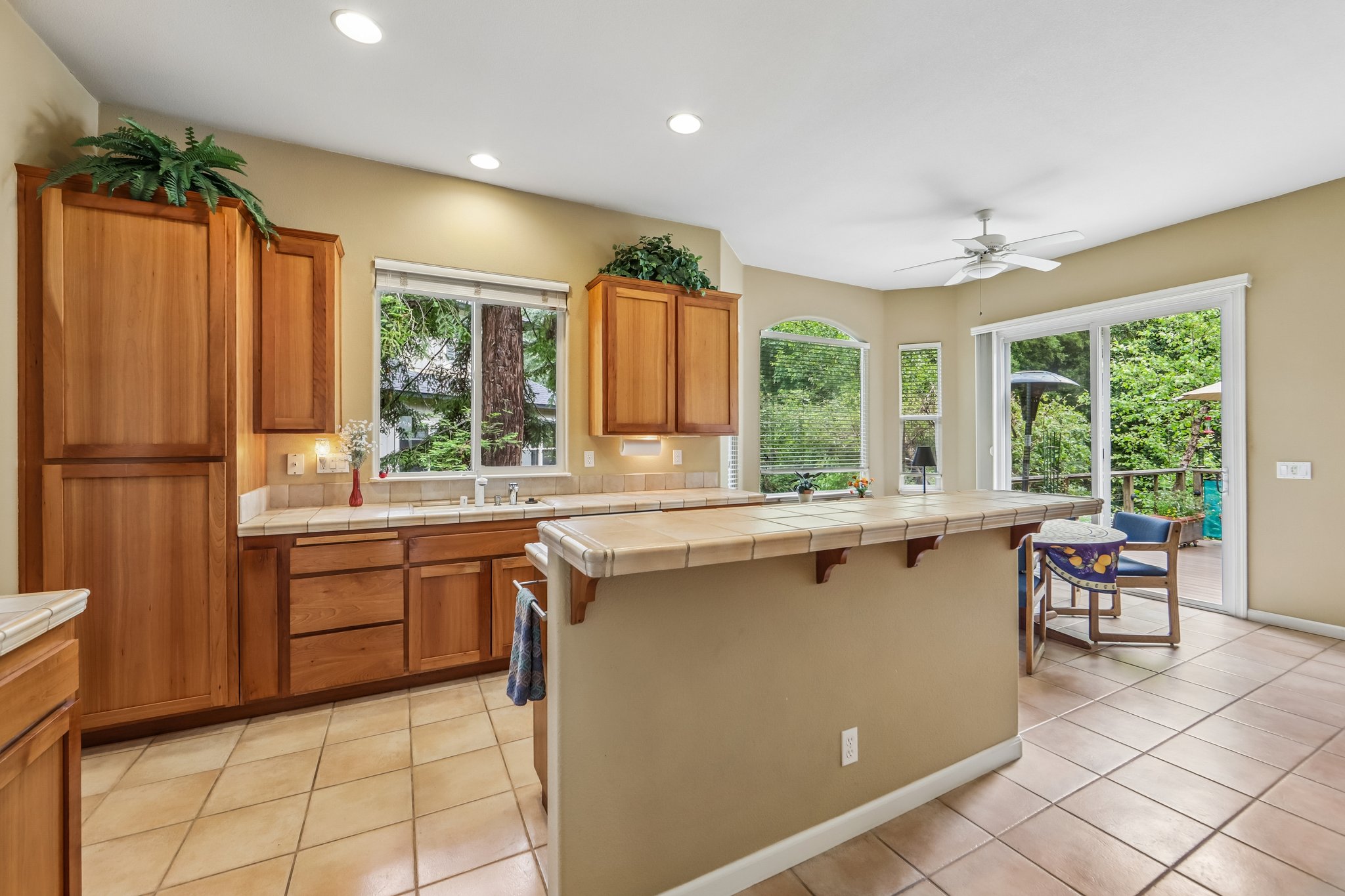 Aikin Pl-S2204-022.jpg