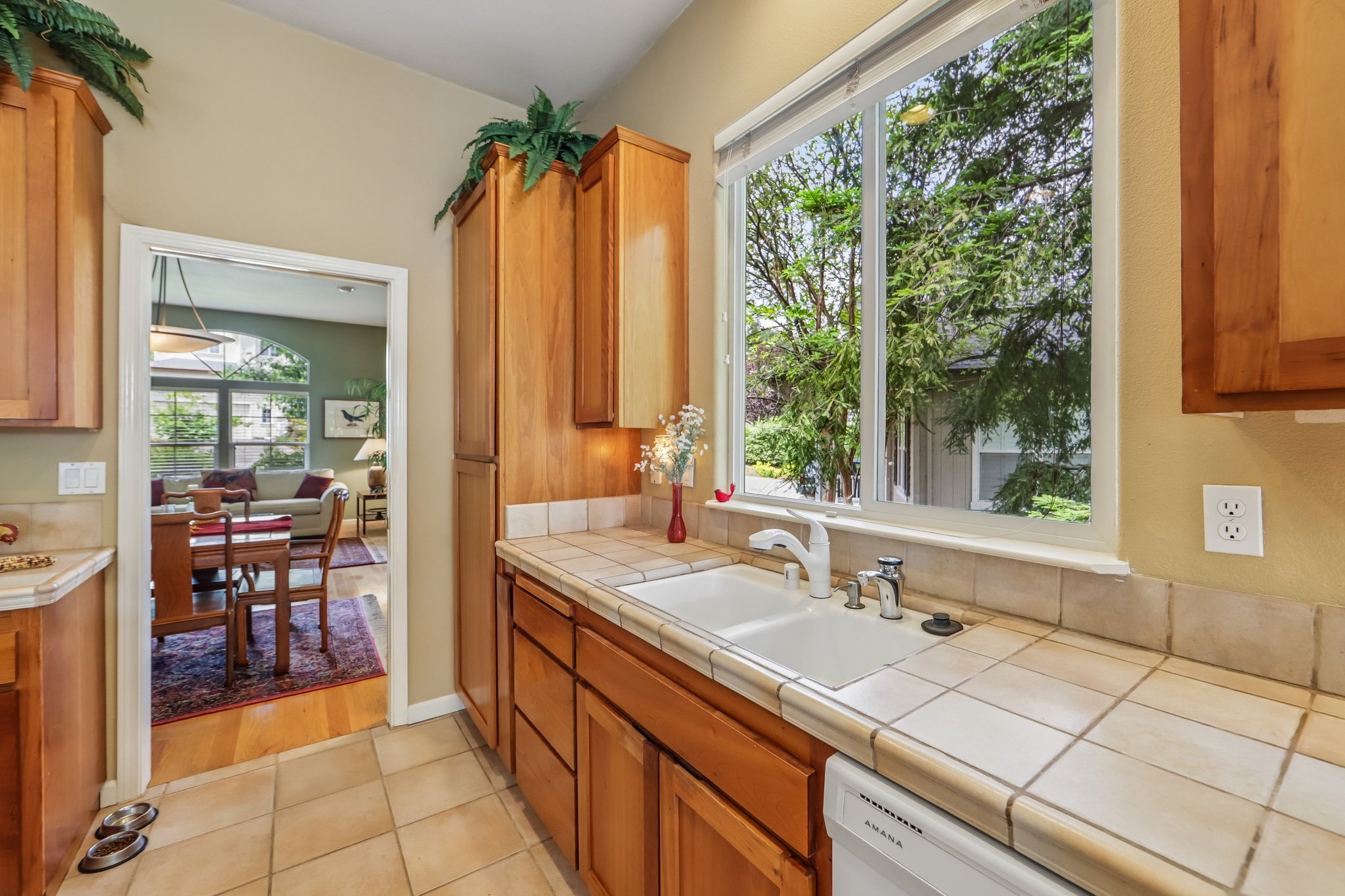 Aikin Pl-S2204-024.jpg