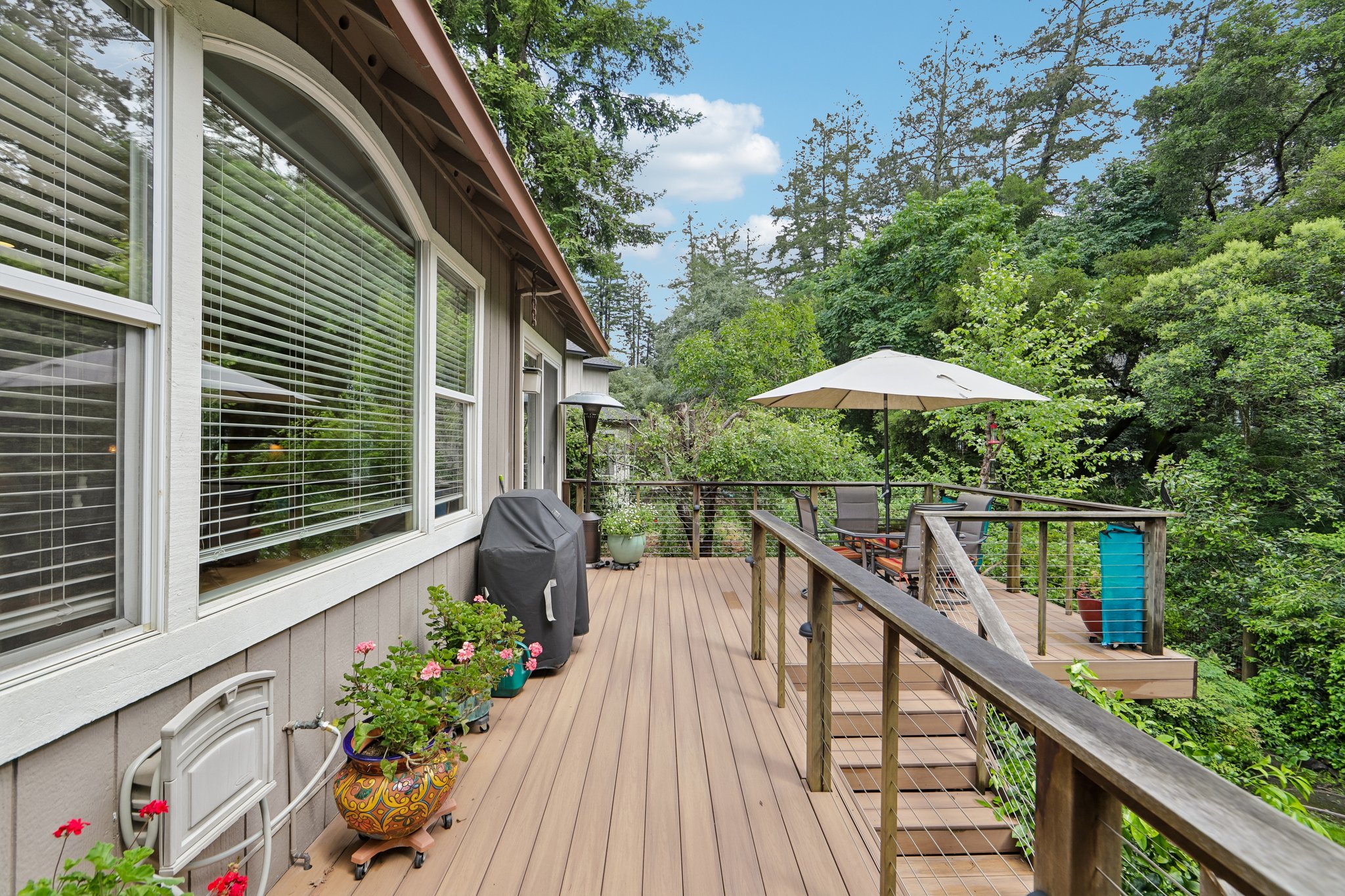 Aikin Pl-S2204-040.jpg