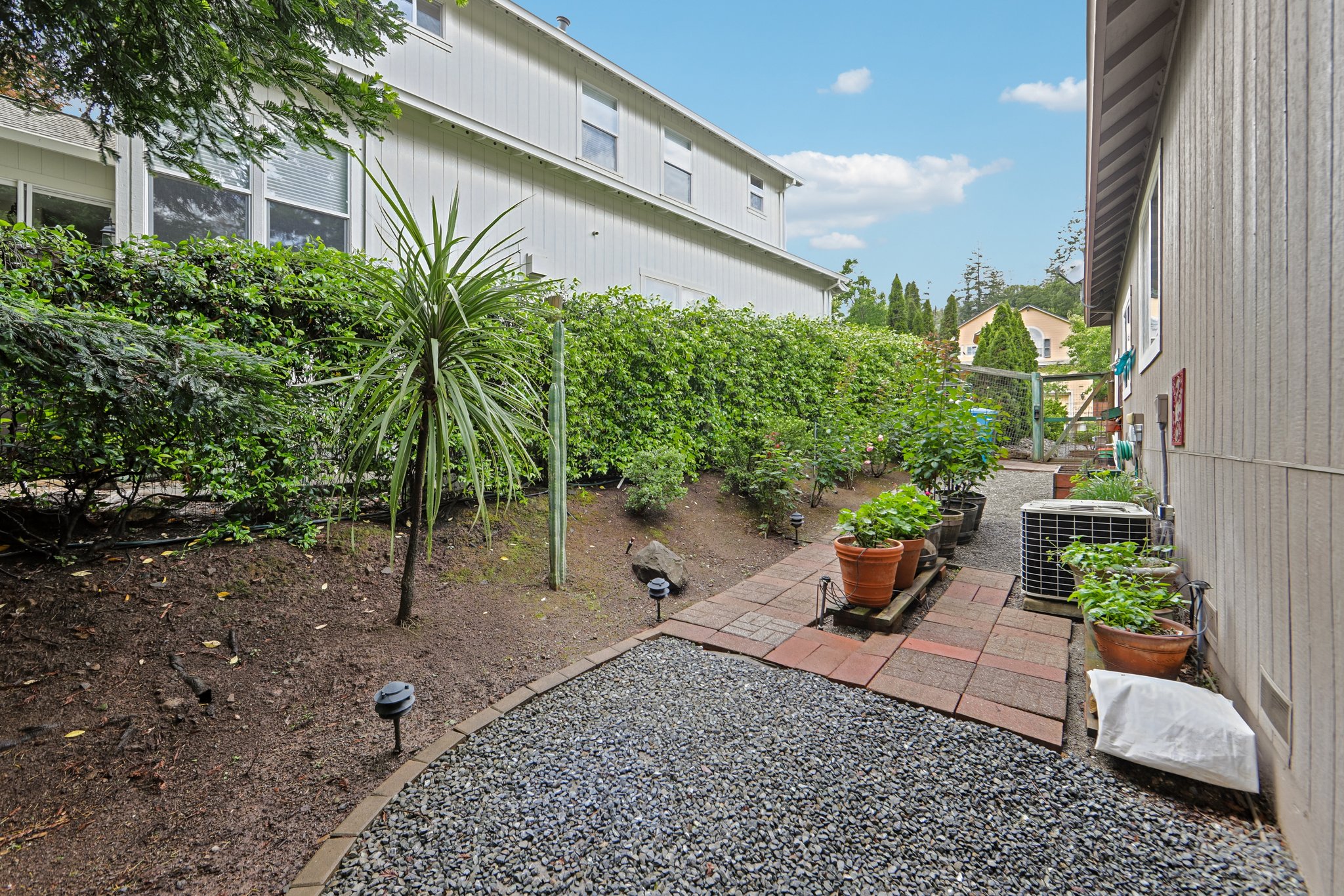 Aikin Pl-S2204-046.jpg