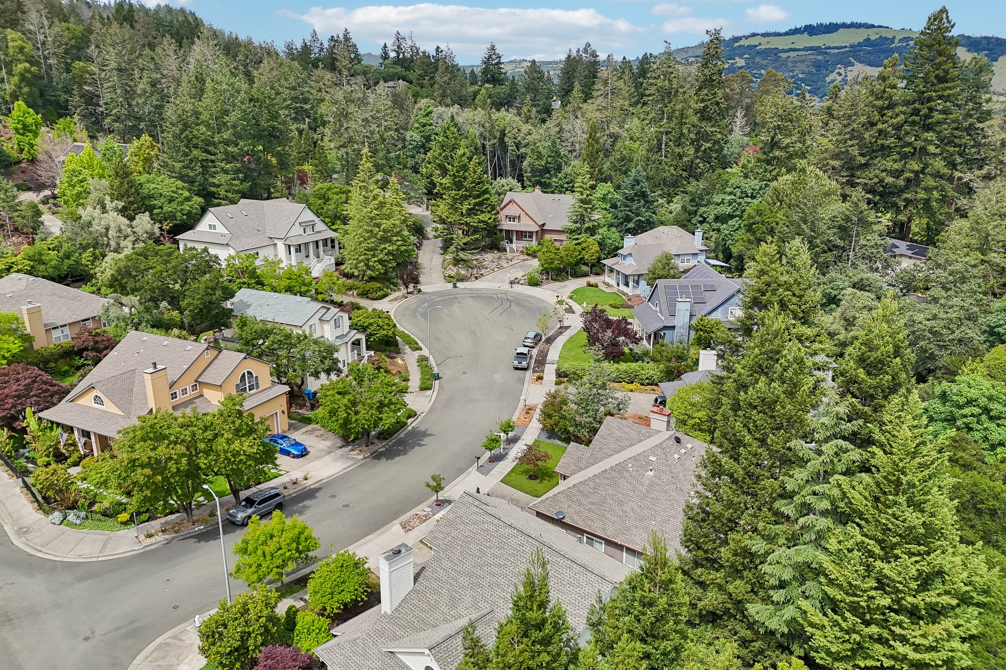 Aikin Pl-S2204-051.jpg