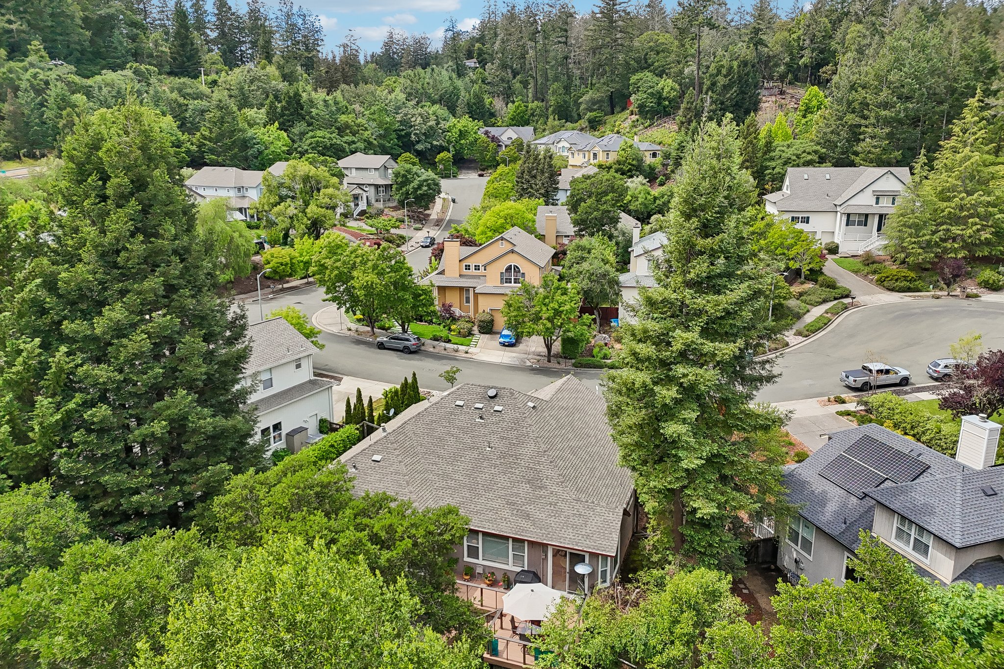 Aikin Pl-S2204-052.jpg