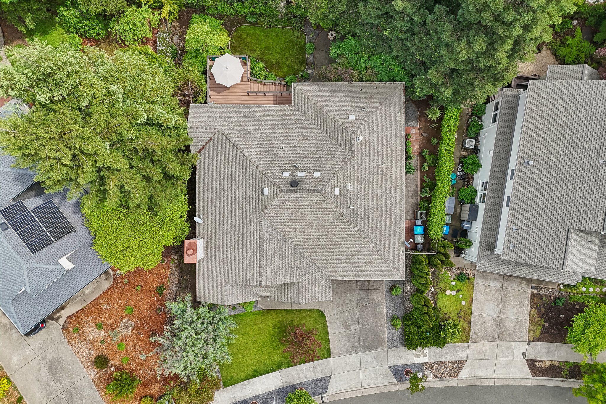 Aikin Pl-S2204-055.jpg