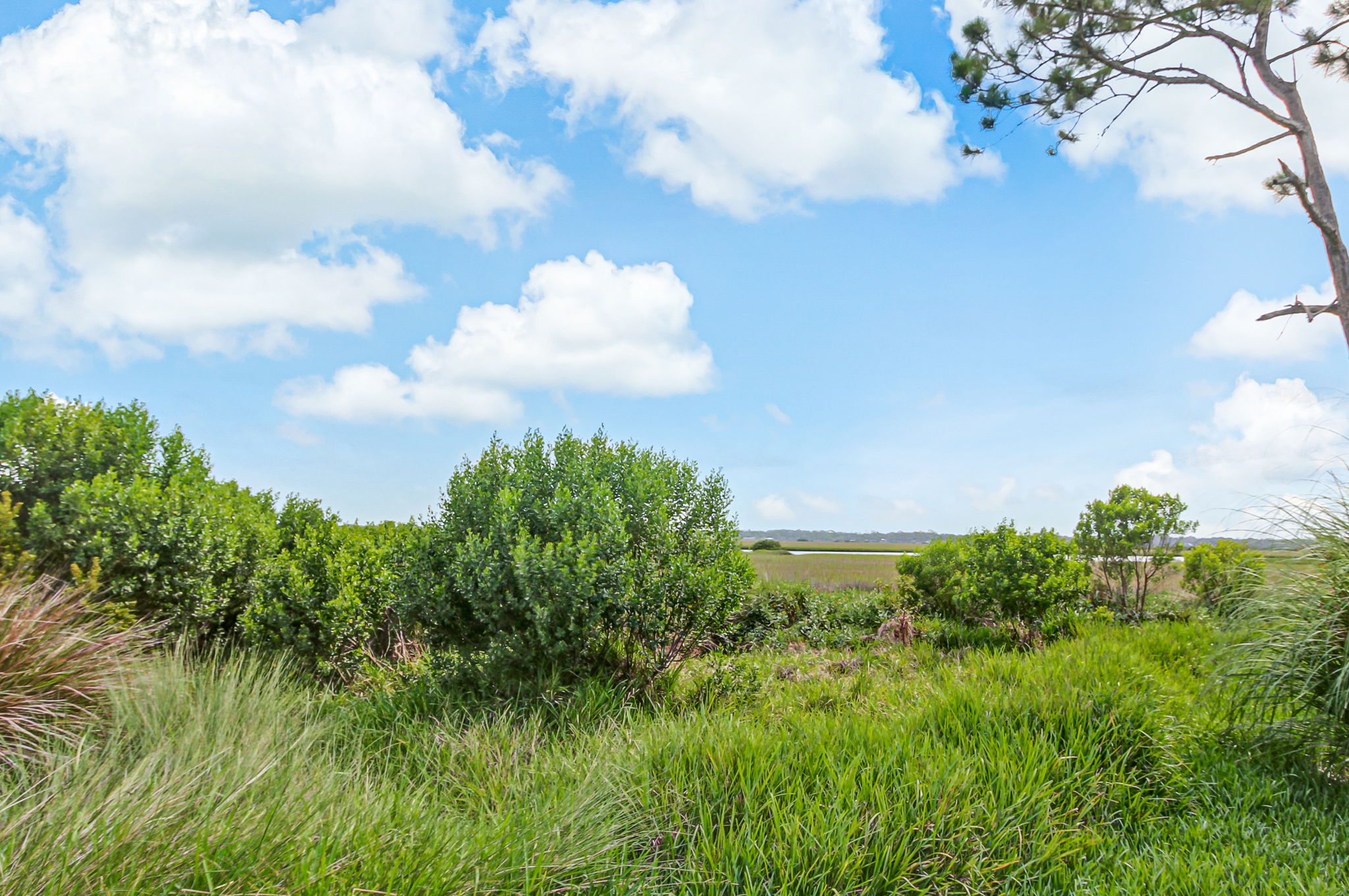 356 Marsh Point Cir, St. Augustine, FL 32080 ECVT