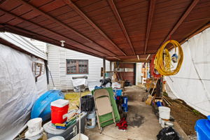  Photo 47
