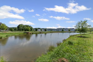  Photo 36