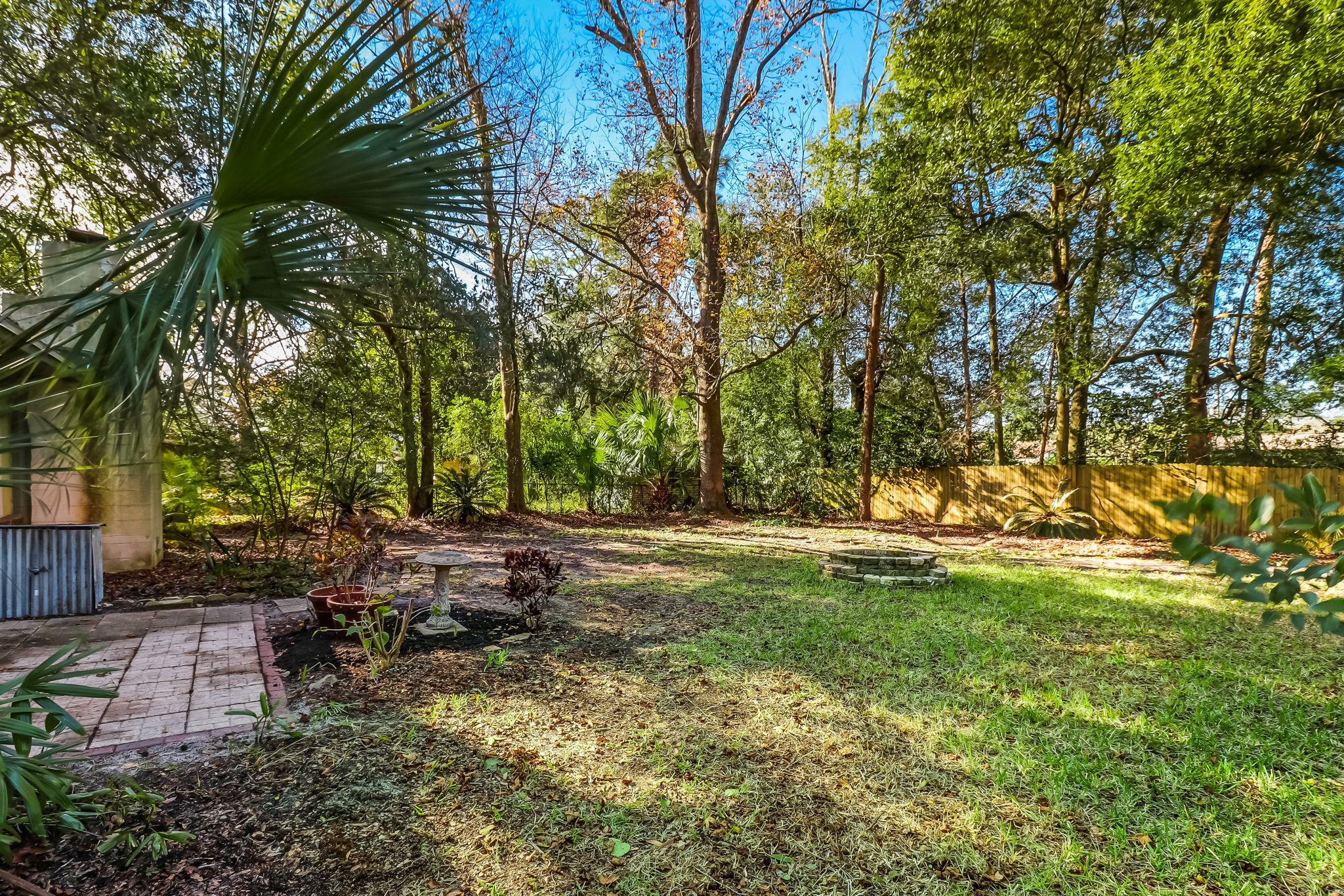 Backyard