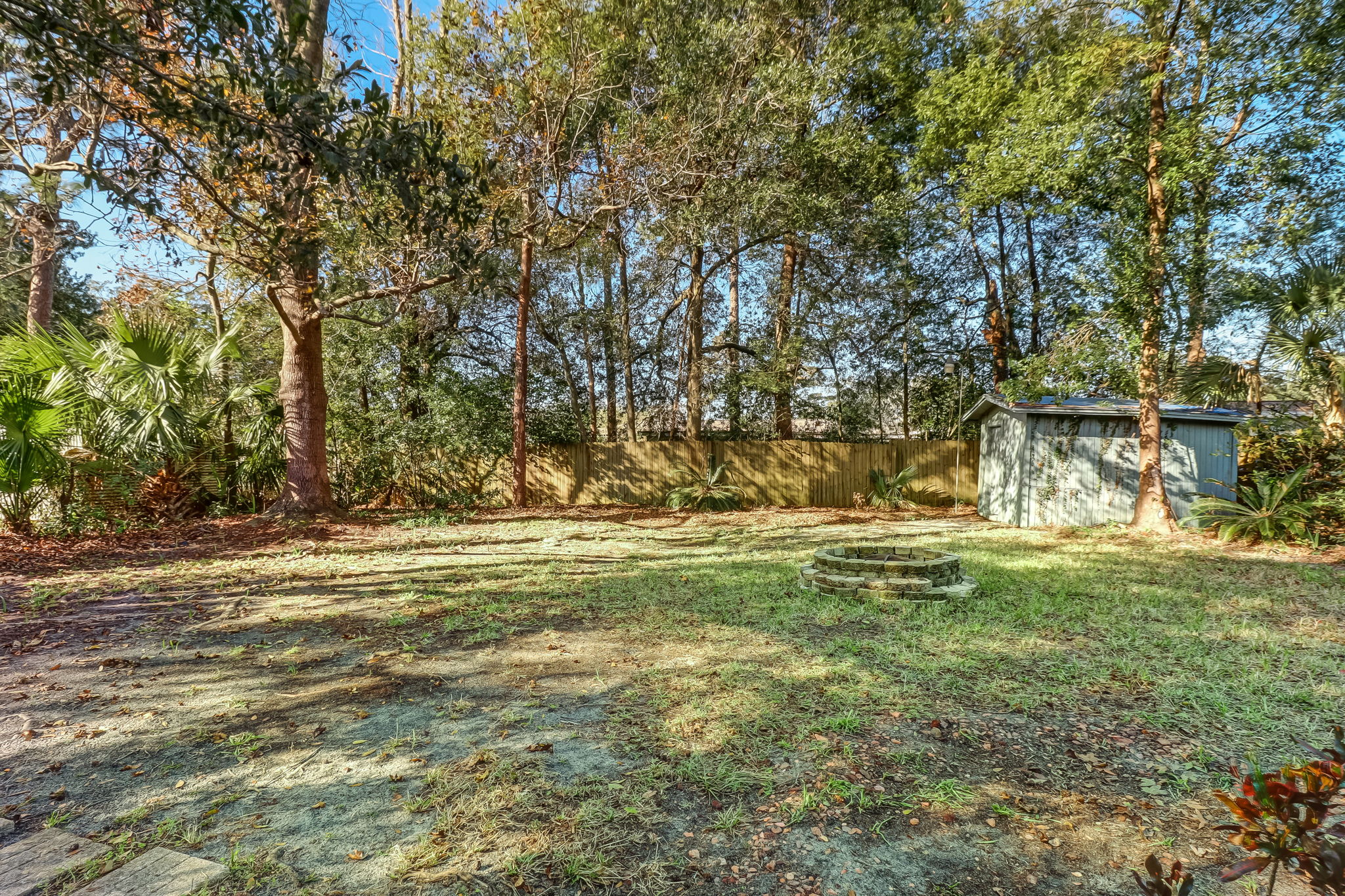 Backyard