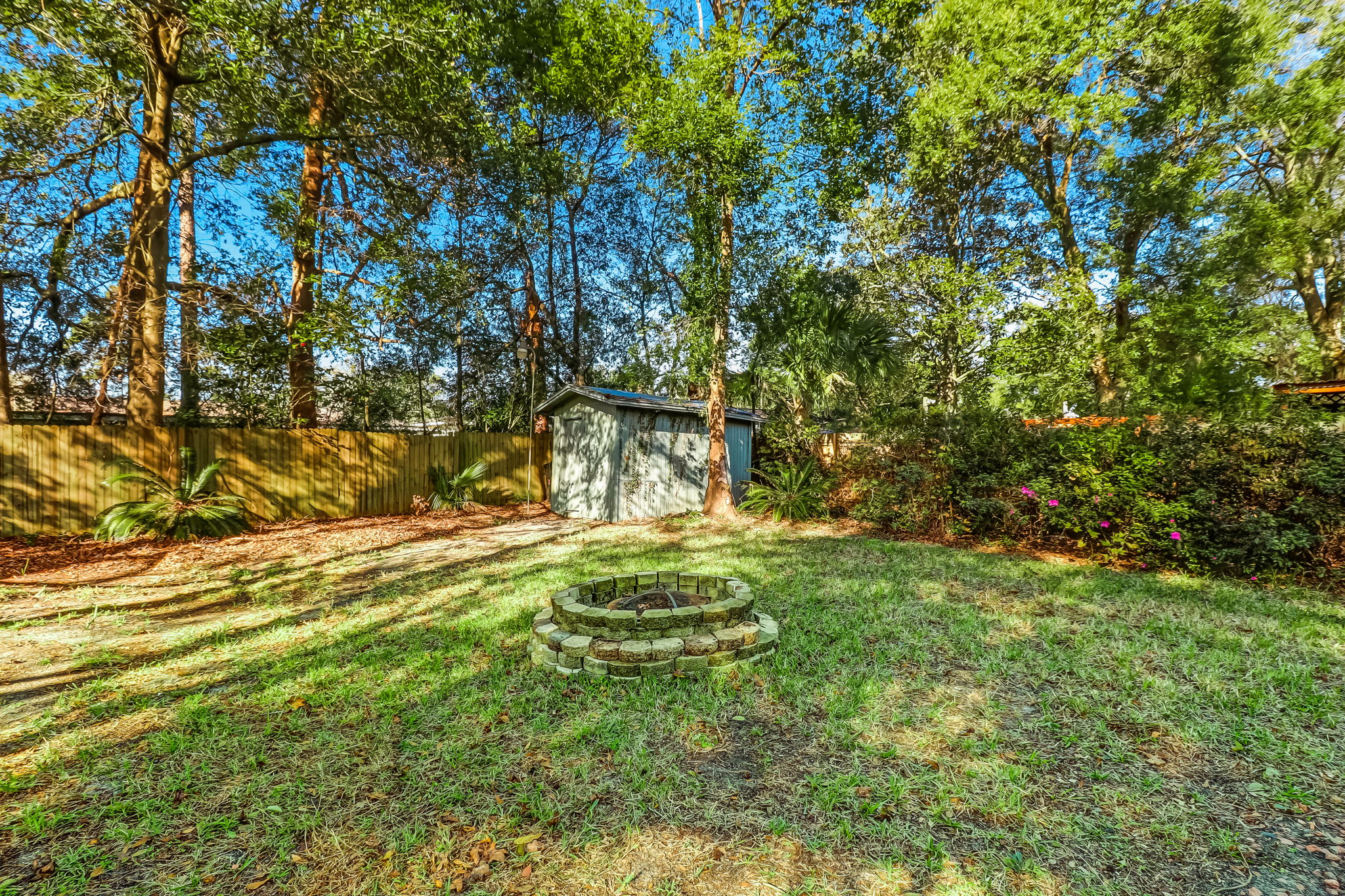 Backyard