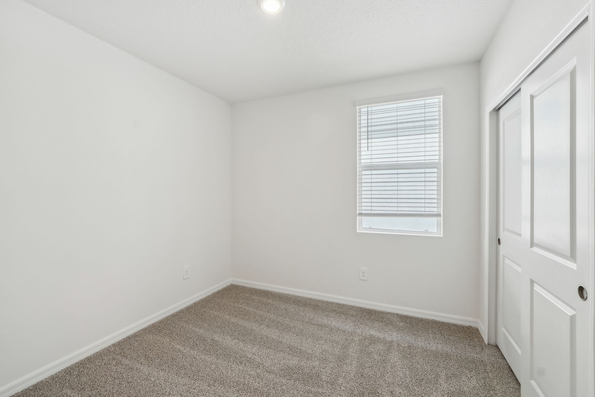 Tampa - Benton Hills - 3561 Moscato Dr, Brooksville, FL 34602 - 017