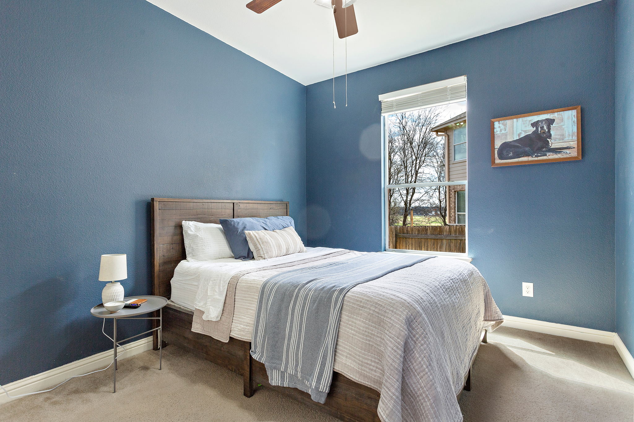 3564 Rosalina Loop, Round Rock, TX 78665, USA Photo 10