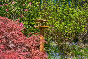  Photo 47