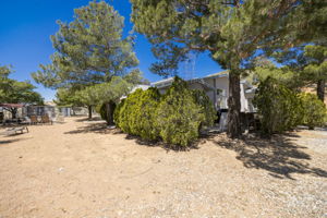 Photo 47