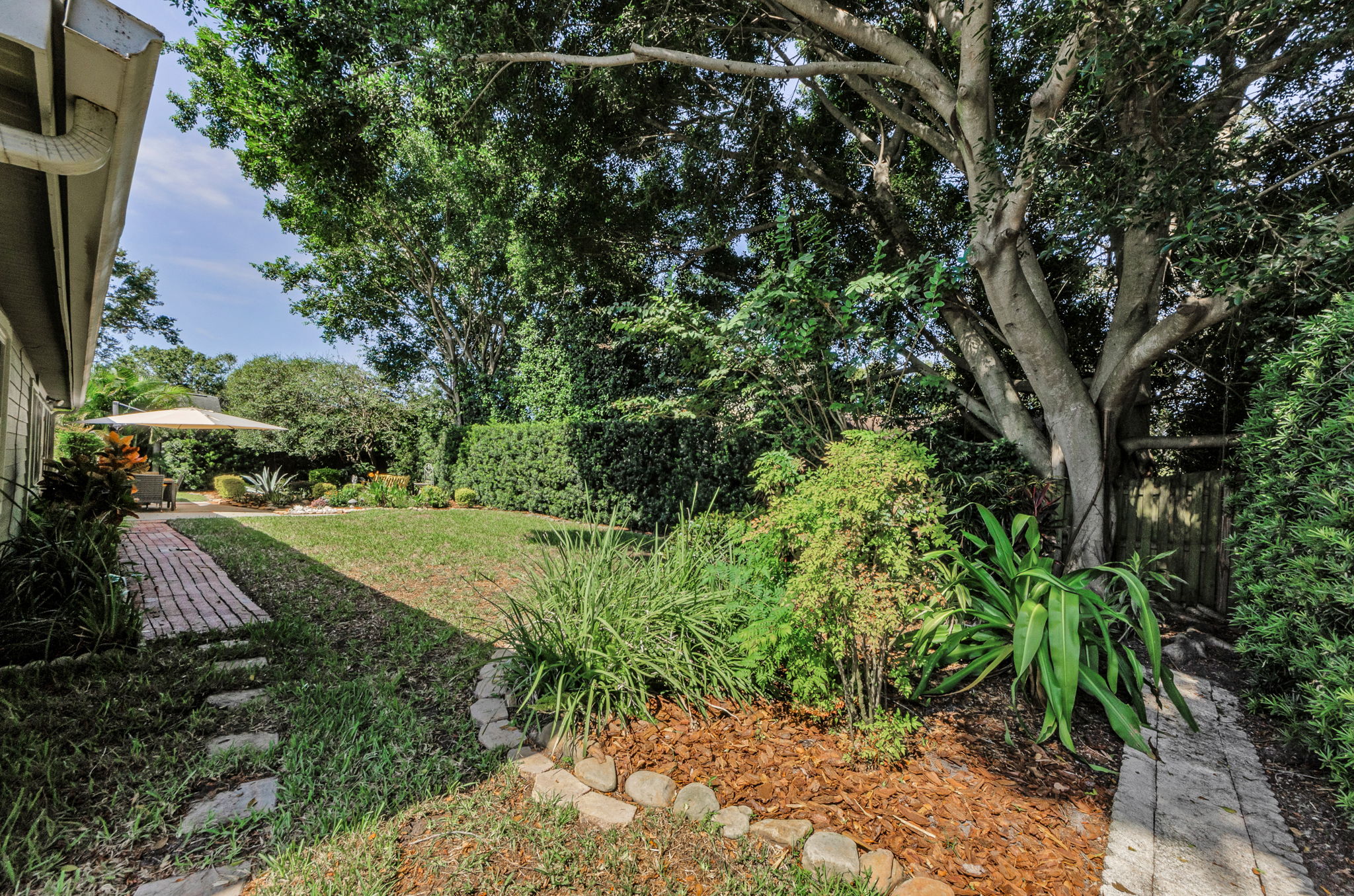 Backyard 3