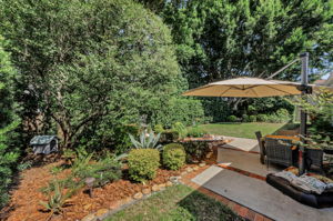 Backyard 1