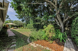 Backyard 3