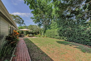 Backyard 4