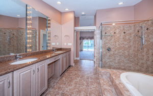 Master Bathroom1d