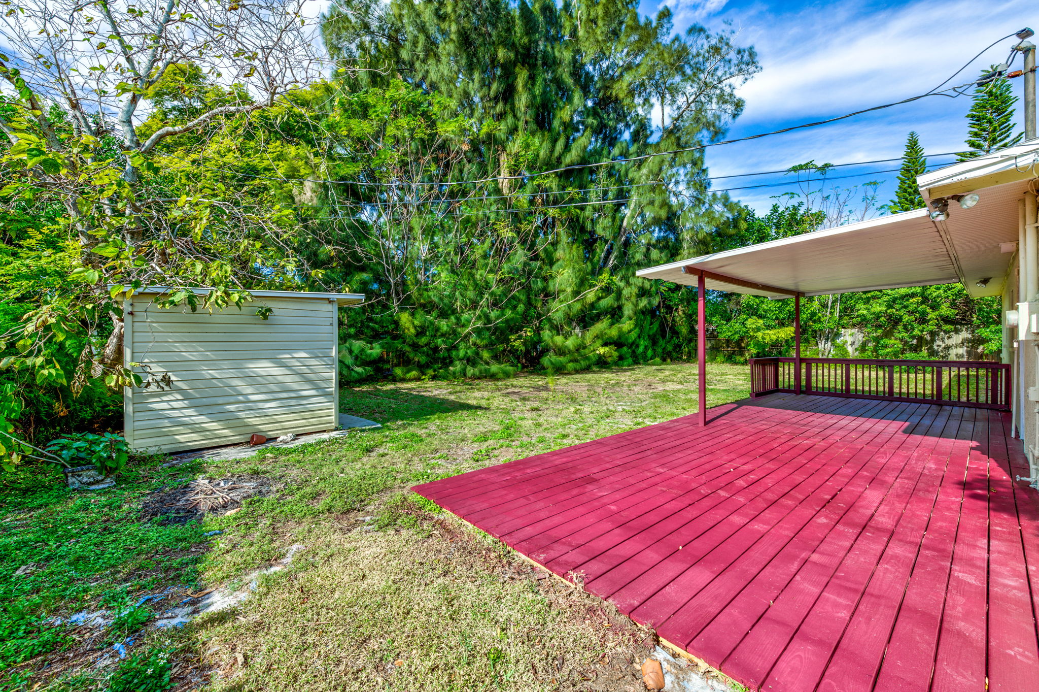 Deck/Backyard