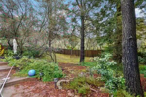 Sudbury Rd-S2312-032.jpg