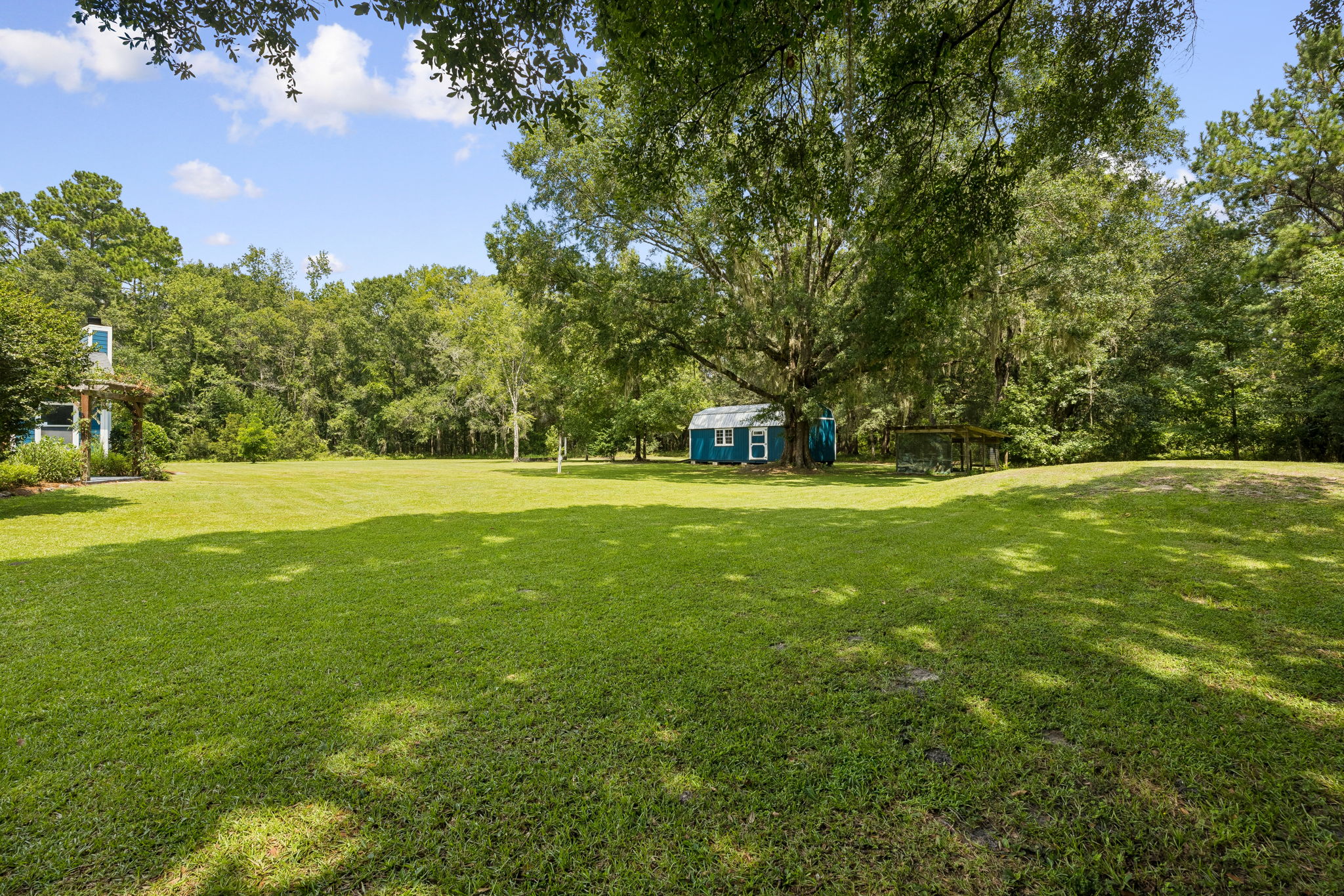 Backyard