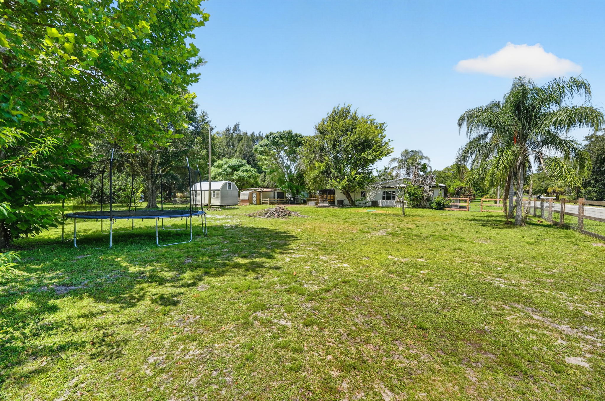 Backyard